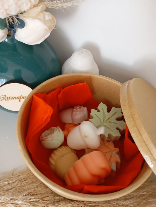 Boite fondants d'automne
