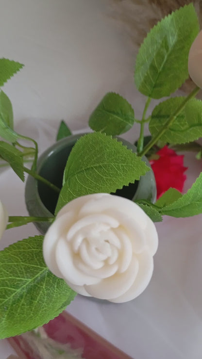 Fleurs eternel parfumée